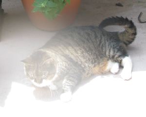 Emma loving being in the sun