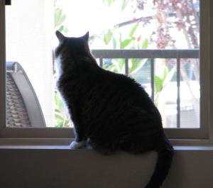 Emma looking out window