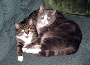 Emma and Maceo catching a quick nap