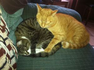 "Are you kidding me?"